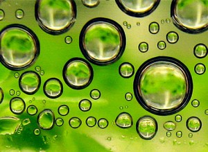 Green Algae for Biofuels and Genetic Engineering Green Algae for Biofuels and Genetic Engineering