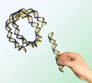 Genetic Engineering in Action Genetic Engineering in Action